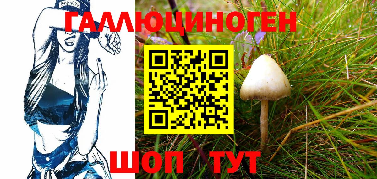 Галлюциногенные грибы Magic Shrooms  Псилоцибиновые грибы GOLDEN TEACHER  Вход с VPN  Узловая 